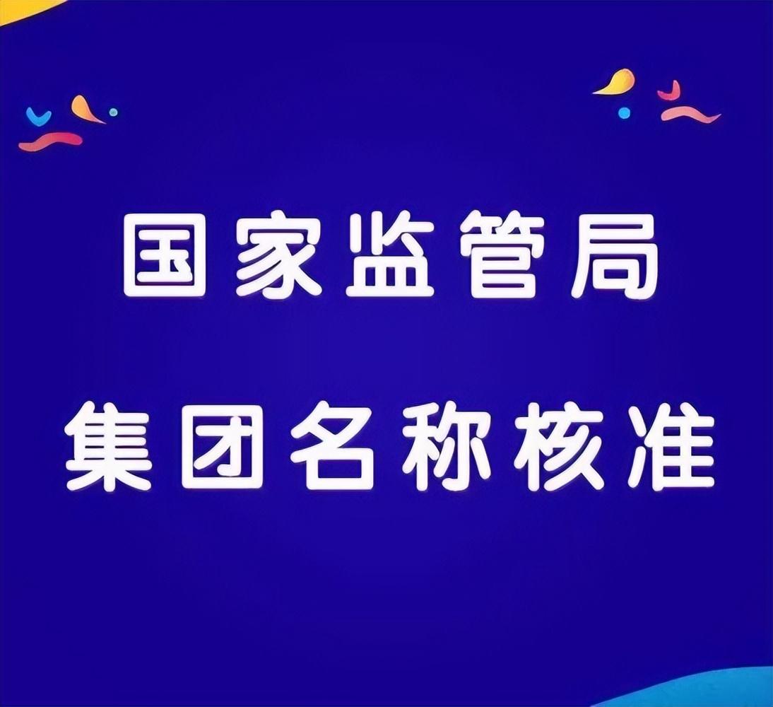 2024年集团公司设立新规定