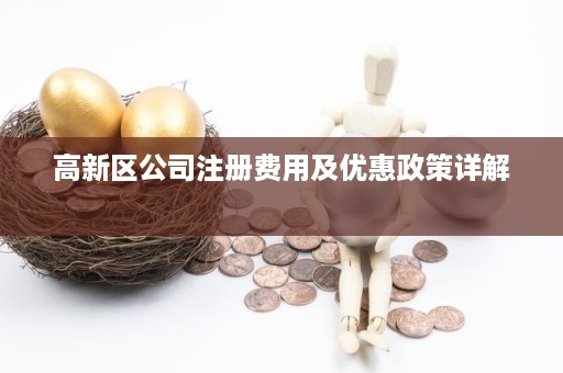 高新区公司注册费用及优惠政策详解 